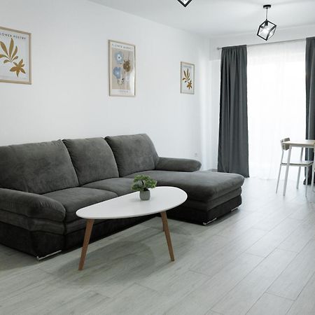 Cozy Aparthotel K Suceava Buitenkant foto